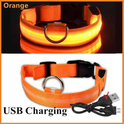Luminous Collar USB Rechargeable