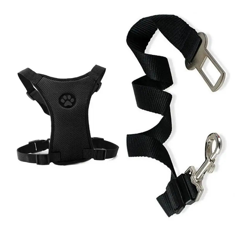 Pet Harness with Lead – Secure, Comfortable and Perfect for Travel