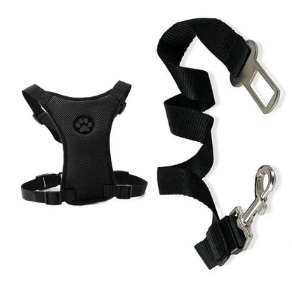 Pet Harness with Lead – Secure, Comfortable and Perfect for Travel