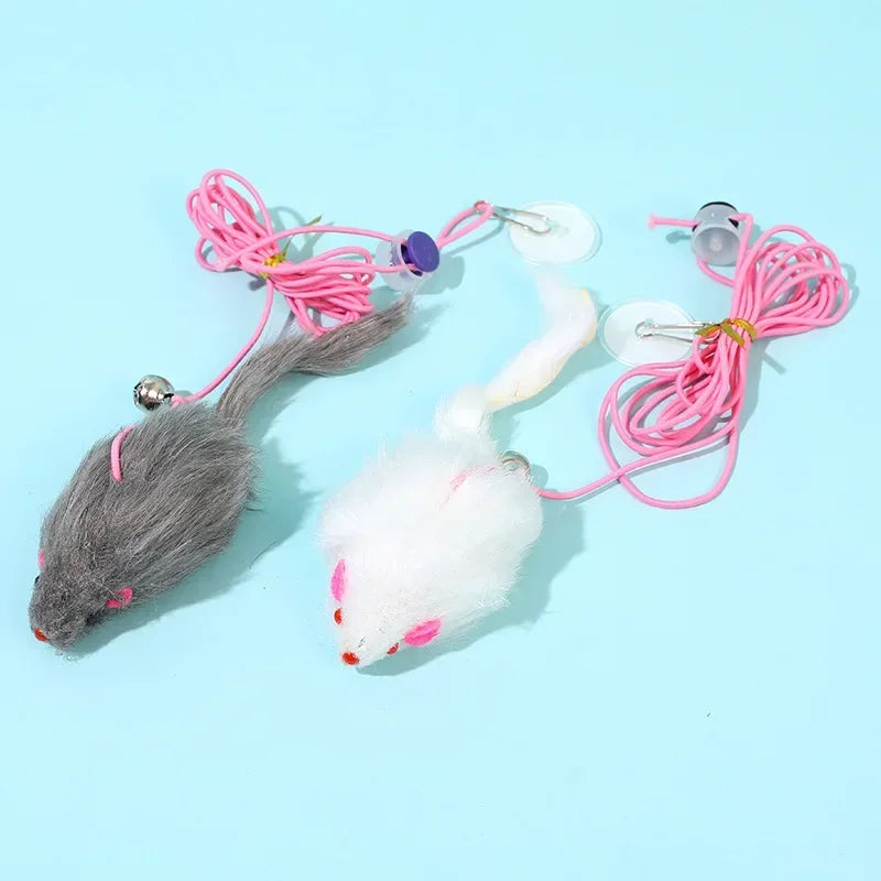 Interactive Hanging Cat Toy