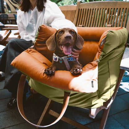 Comfortable Dog Car Seat – Funny Fuzzy