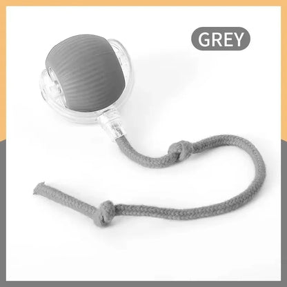Active Rolling Ball with Tail for Dogs