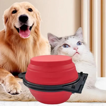 2-in-1 Foldable Dual Bowl – Portable Travel Feeding & Water Bowl for Dogs and Cats