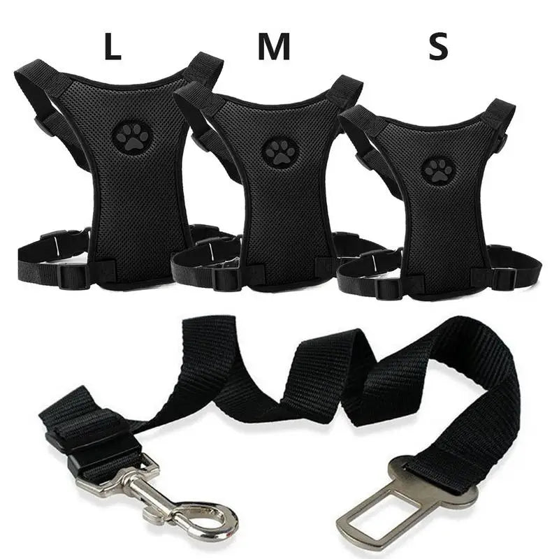 Pet Harness with Lead – Secure, Comfortable and Perfect for Travel