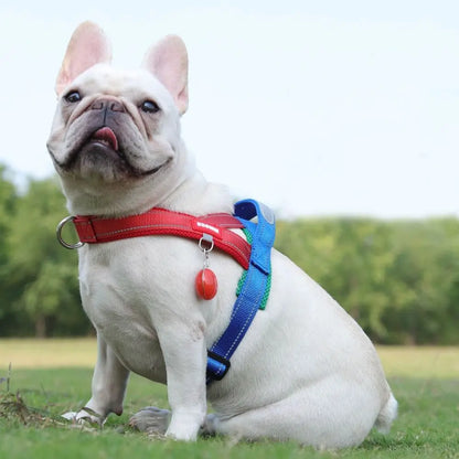 Adjustable Reflective Dog Harness Vest