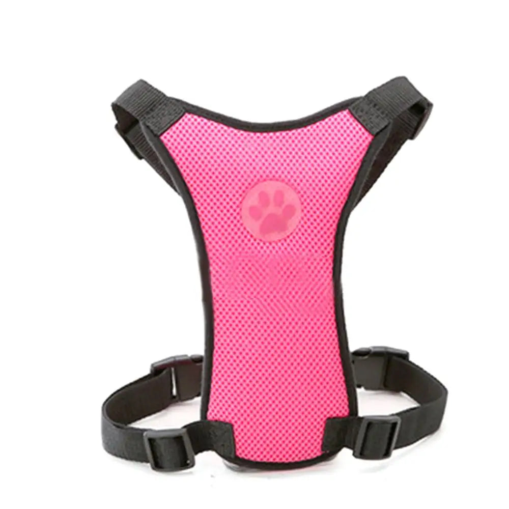 Pet Harness with Lead – Secure, Comfortable and Perfect for Travel