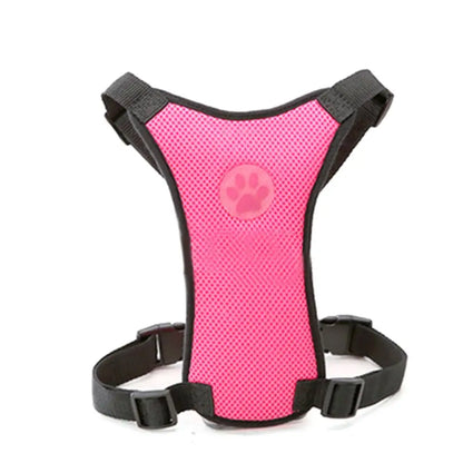 Pet Harness with Lead – Secure, Comfortable and Perfect for Travel