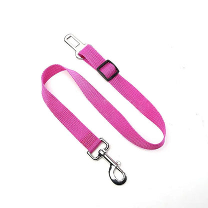 Pet Harness with Lead – Secure, Comfortable and Perfect for Travel