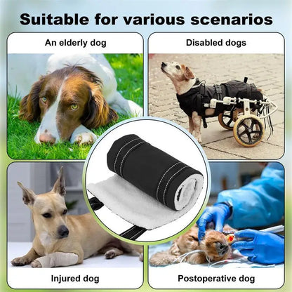 Dog support harness - Adjustable rehabilitation belt