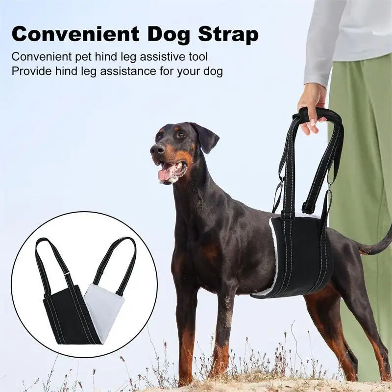 Dog support harness - Adjustable rehabilitation belt