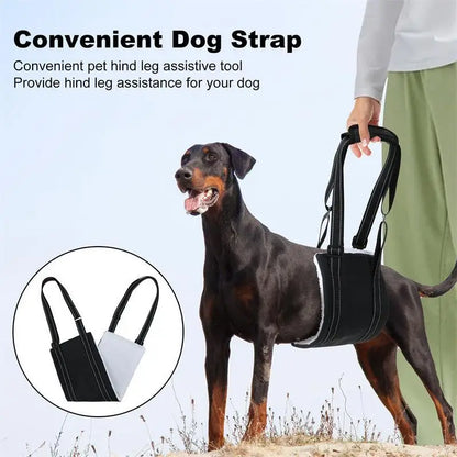 Dog support harness - Adjustable rehabilitation belt