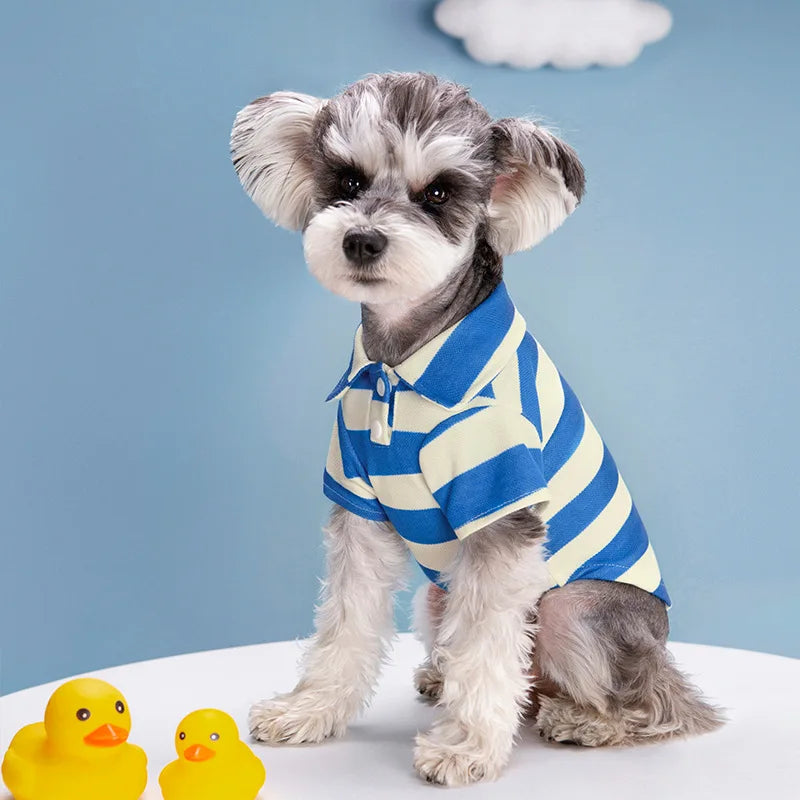 Summer Polo Shirt for Dogs & Cats