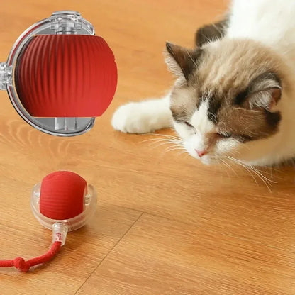 Active Rolling Ball with Tail for Dogs